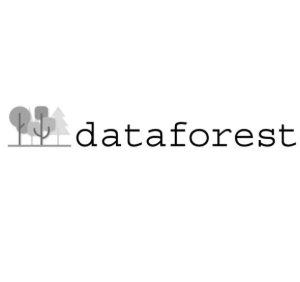 Logo Dataforest